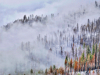 1-Yosemite