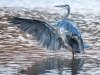 _DSC0439-3-3152x2016
