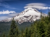 DSC_0219-Edit-X3