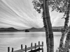 _DSC446116x20 bw