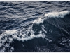 Bow Wave, Watermarked