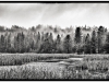 Newport Pond Watermarked