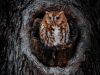 thumbnail_IMG_9467