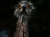 thumbnail_IMG_9472