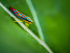thumbnail_IMG_9622