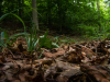 thumbnail_IMG_9624