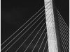 1_kingston_13