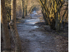 kingston_01