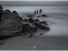 kingston_05