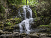 kingston_11