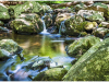 kingston_16
