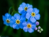 20130525-_5250592-Edit-Edit-2-Edit-2