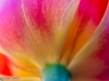 20150502-_5020256-Edit