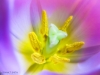 20160201-_2010202-Edit-Edit