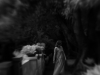 1_S6501349-Edit-2