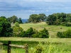 02DSCF9541