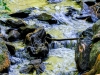 04DSCF5679