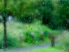 10DSCF7032