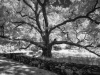 21DSCF0173