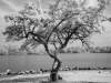 22DSCF4808