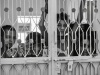 Nancy-India2019-1