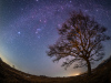 OM-3_M.8mm_F1.8_FULL_