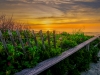 Footbridge-Beach-Best