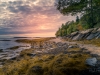Wolf-Neck-Woods-Best-jpg