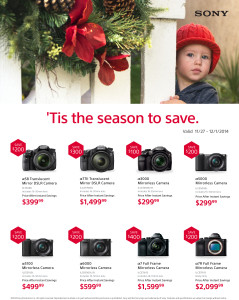 Sony_DI_Holiday_Flyer-1