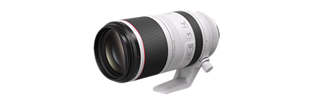 Canon RF 100-500mm F/4.5-7.1 L IS USM lens