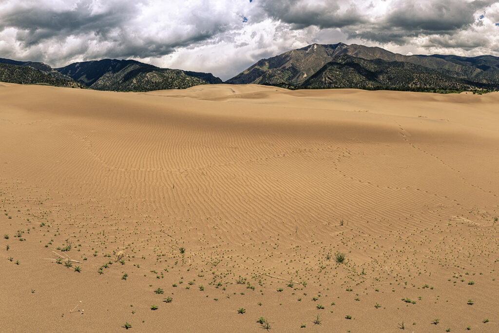 Colorado dunes