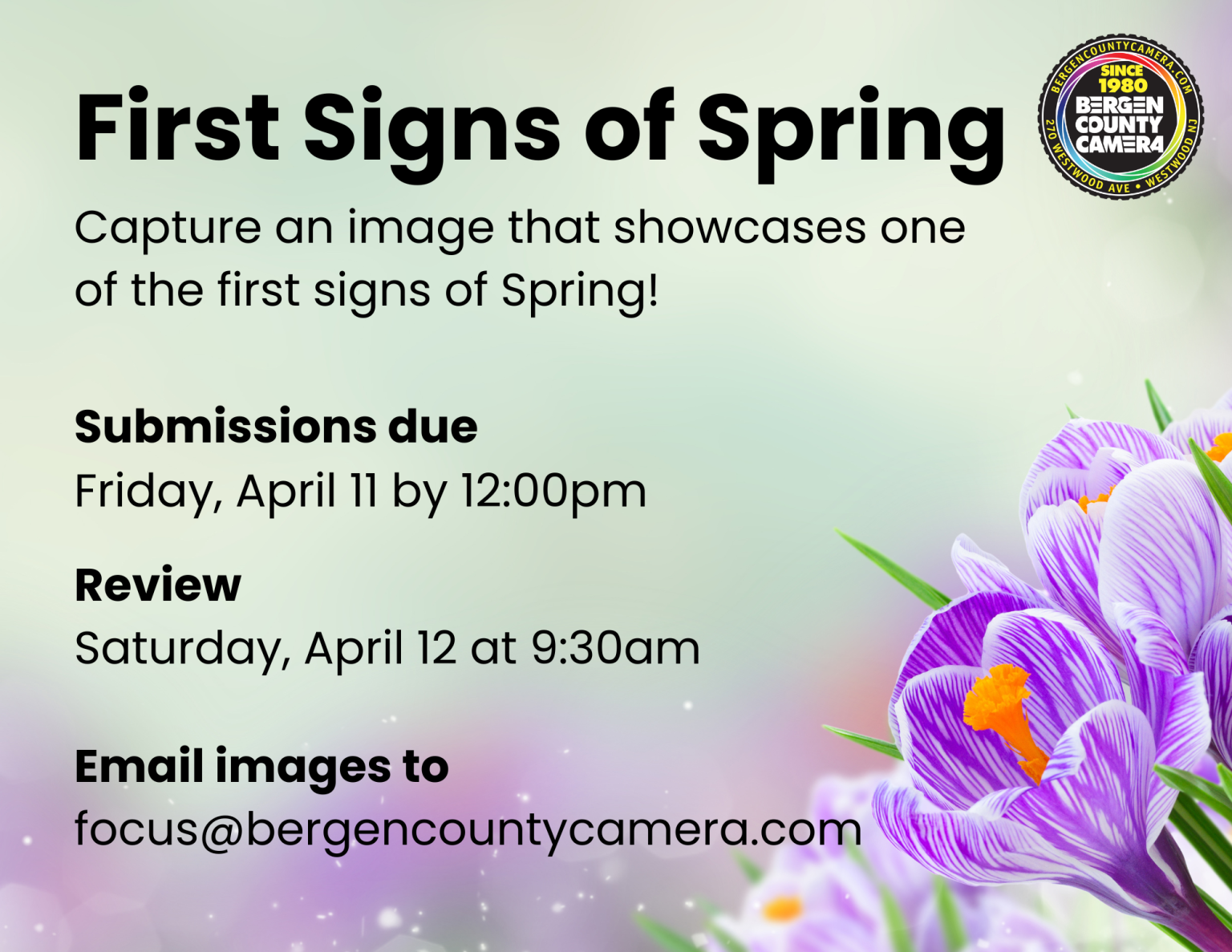 Bergen County Camera Blog - Bergen County Camera news, events, products ...